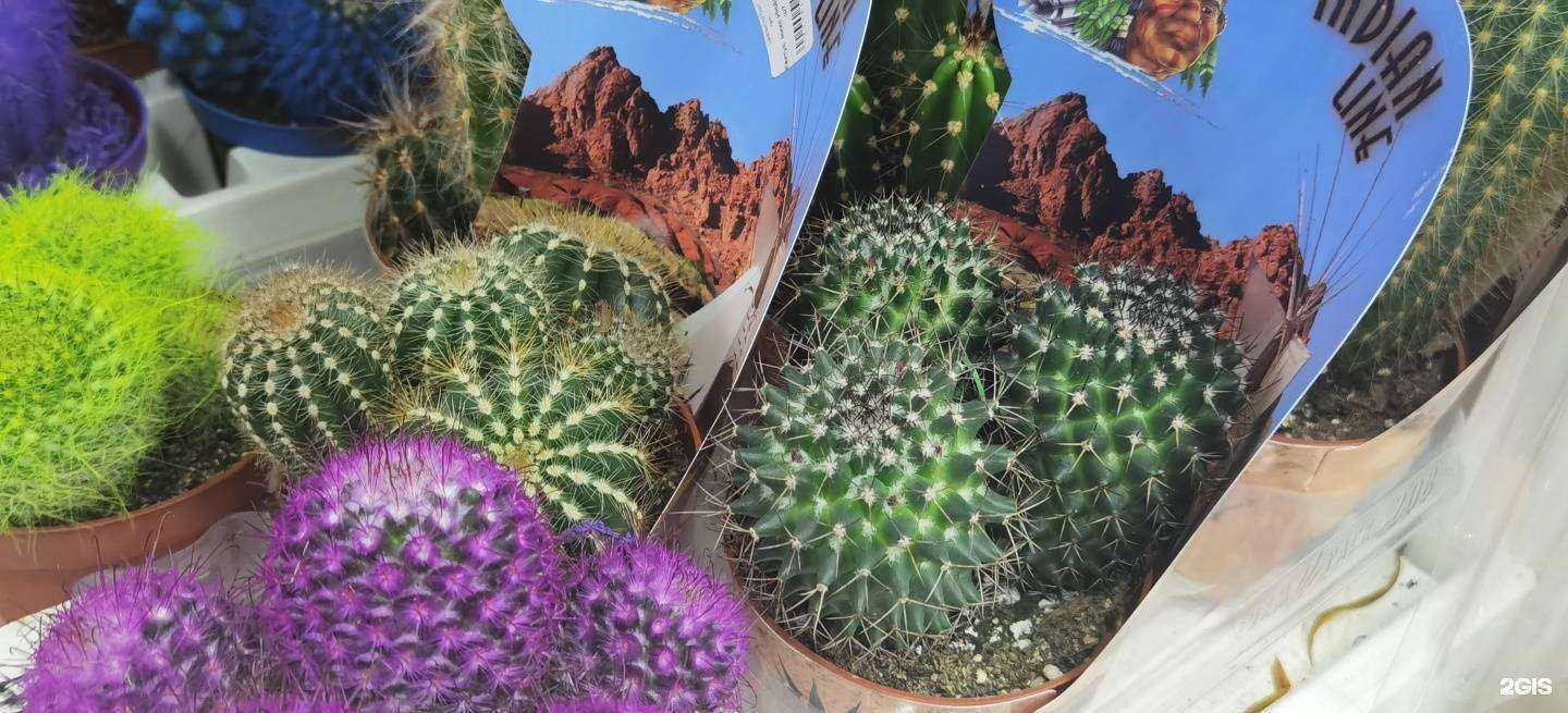 Отзывы на компанию Радуга цветов в г. Красноярск c фото