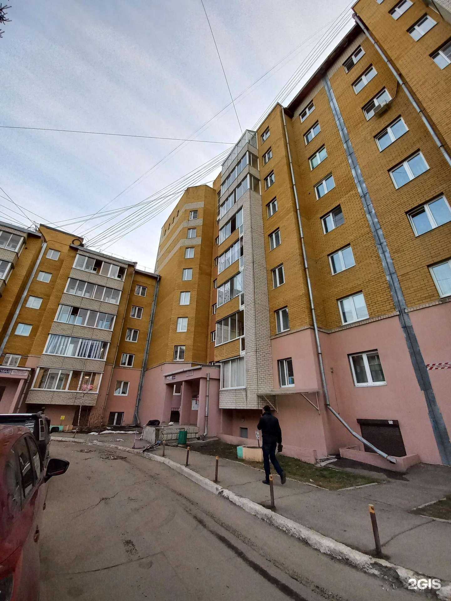 Отзывы на компанию Грумвиль в Иркутске c фото - фотография 2 из 2