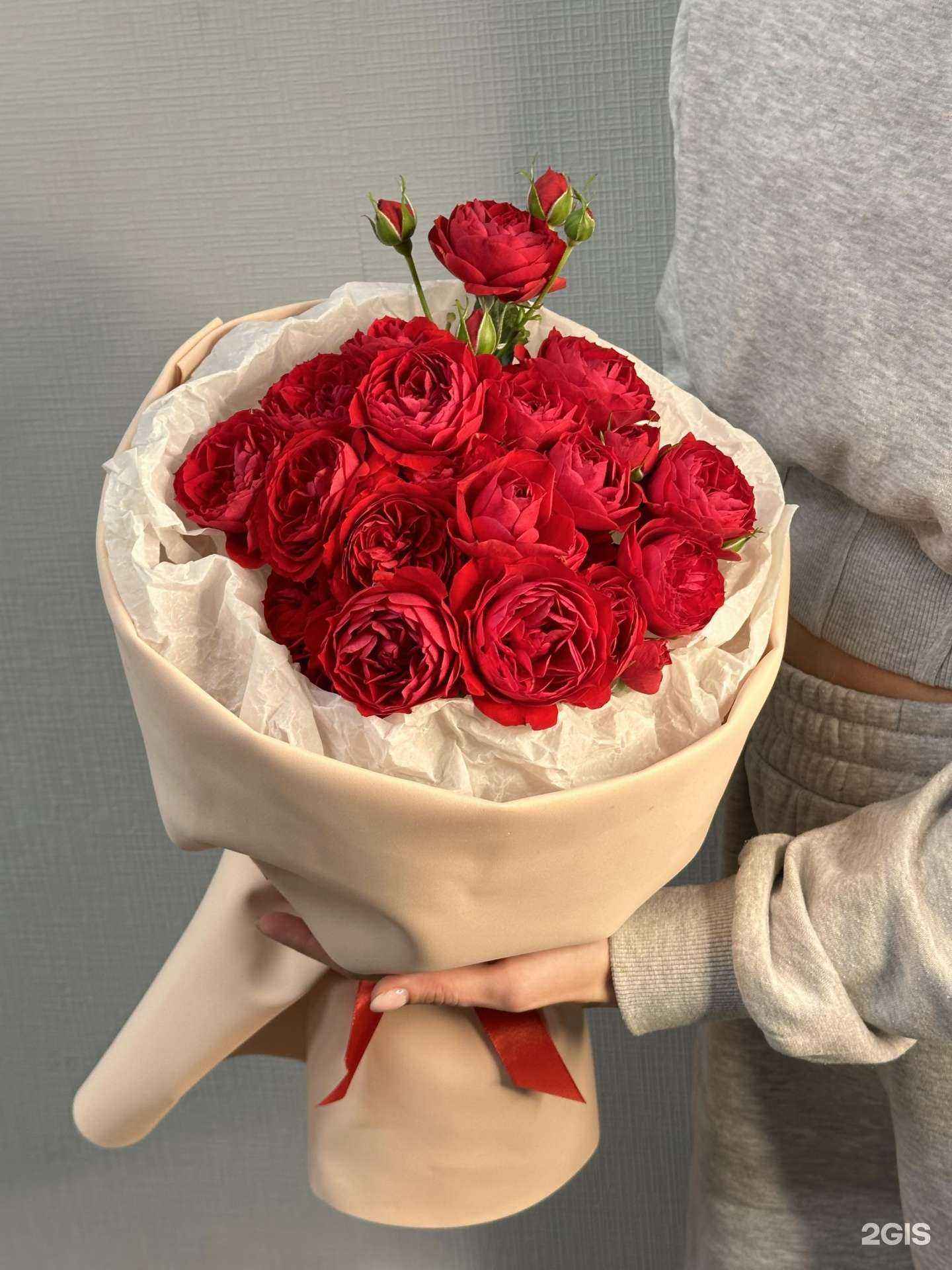 Отзывы на компанию Wisteria в Воронеже c фото