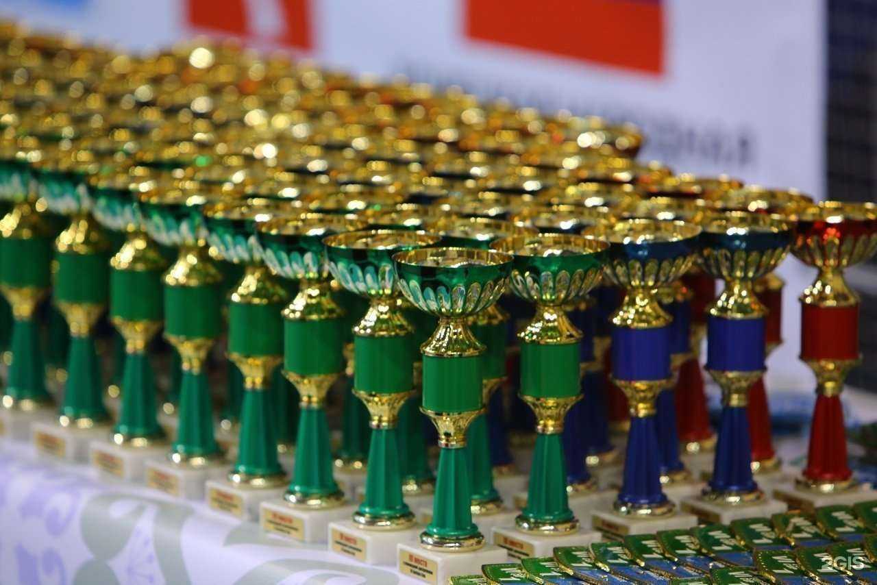 Отзывы на компанию Поволжская академия боевых искусств в Тольятти c фото