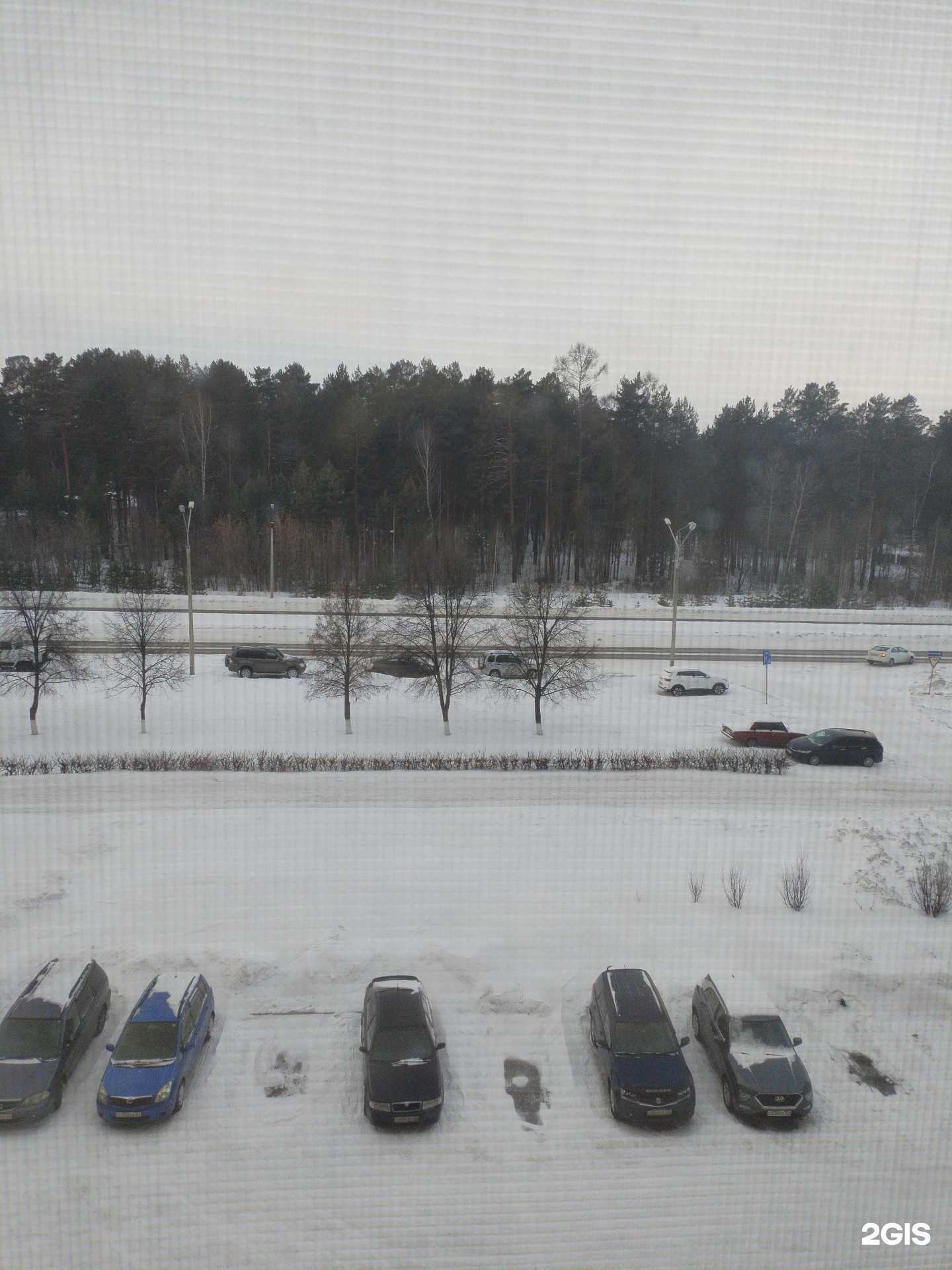 Отзывы на компанию Зайка в г. Железногорск c фото