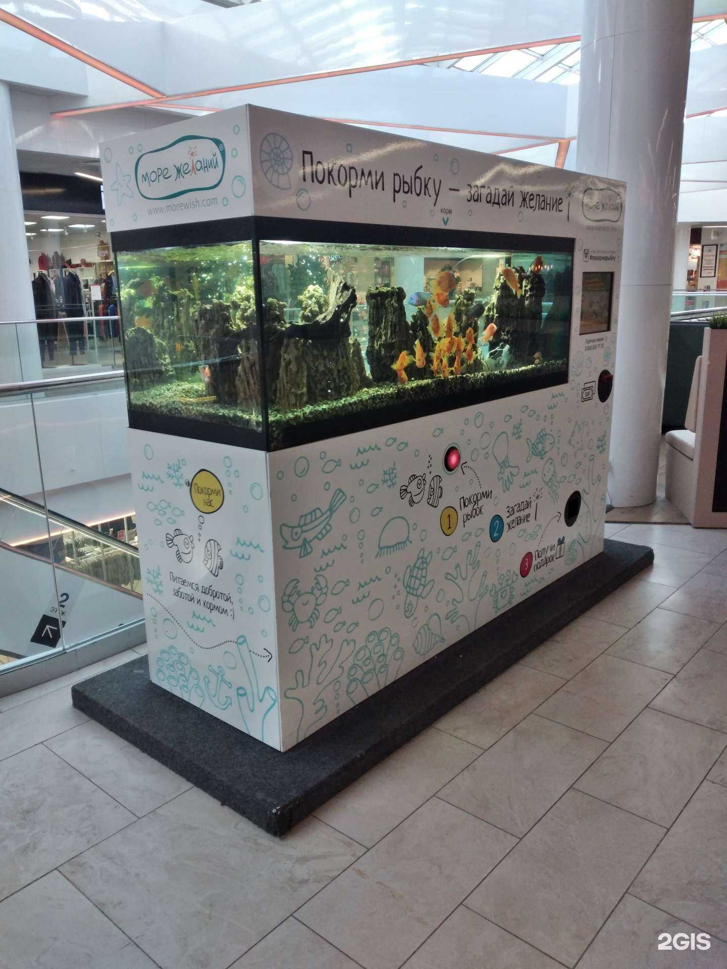 Отзывы на компанию Море желаний в Туле c фото