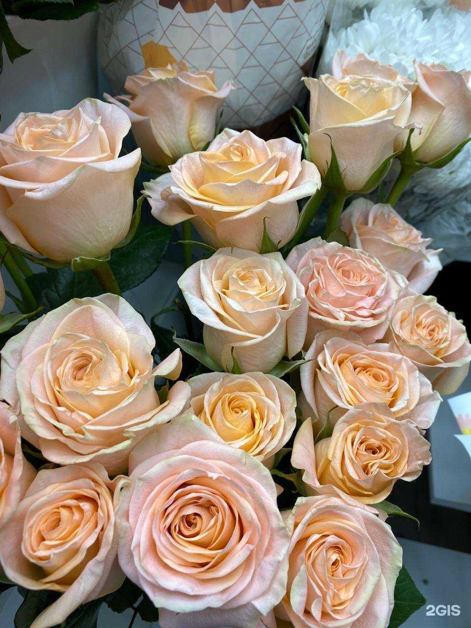 Отзывы на компанию Нежность в г. Иркутск c фото