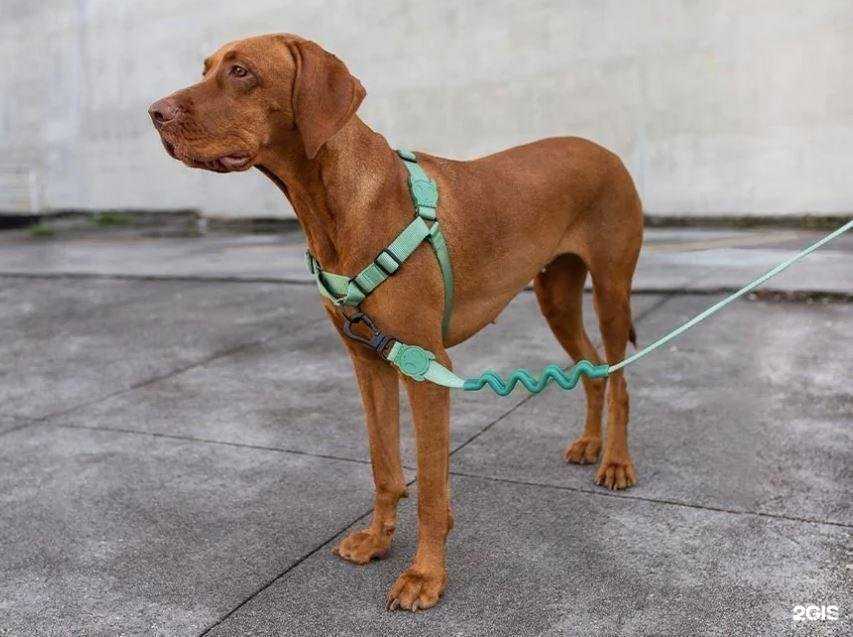 Отзывы на компанию Заповедник в Тюмени c фото