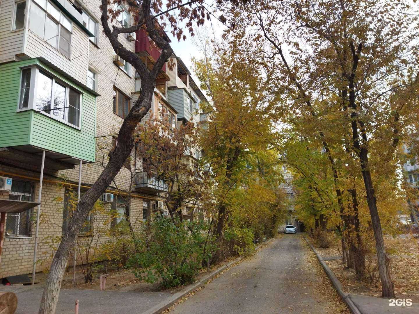 Отзывы на компанию А-вет в Астрахани c фото - фотография 2 из 2