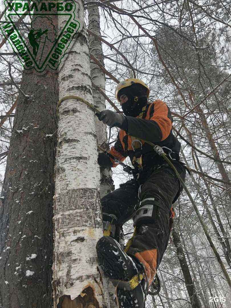 Отзывы на компанию УралАрбо в Миассе c фото