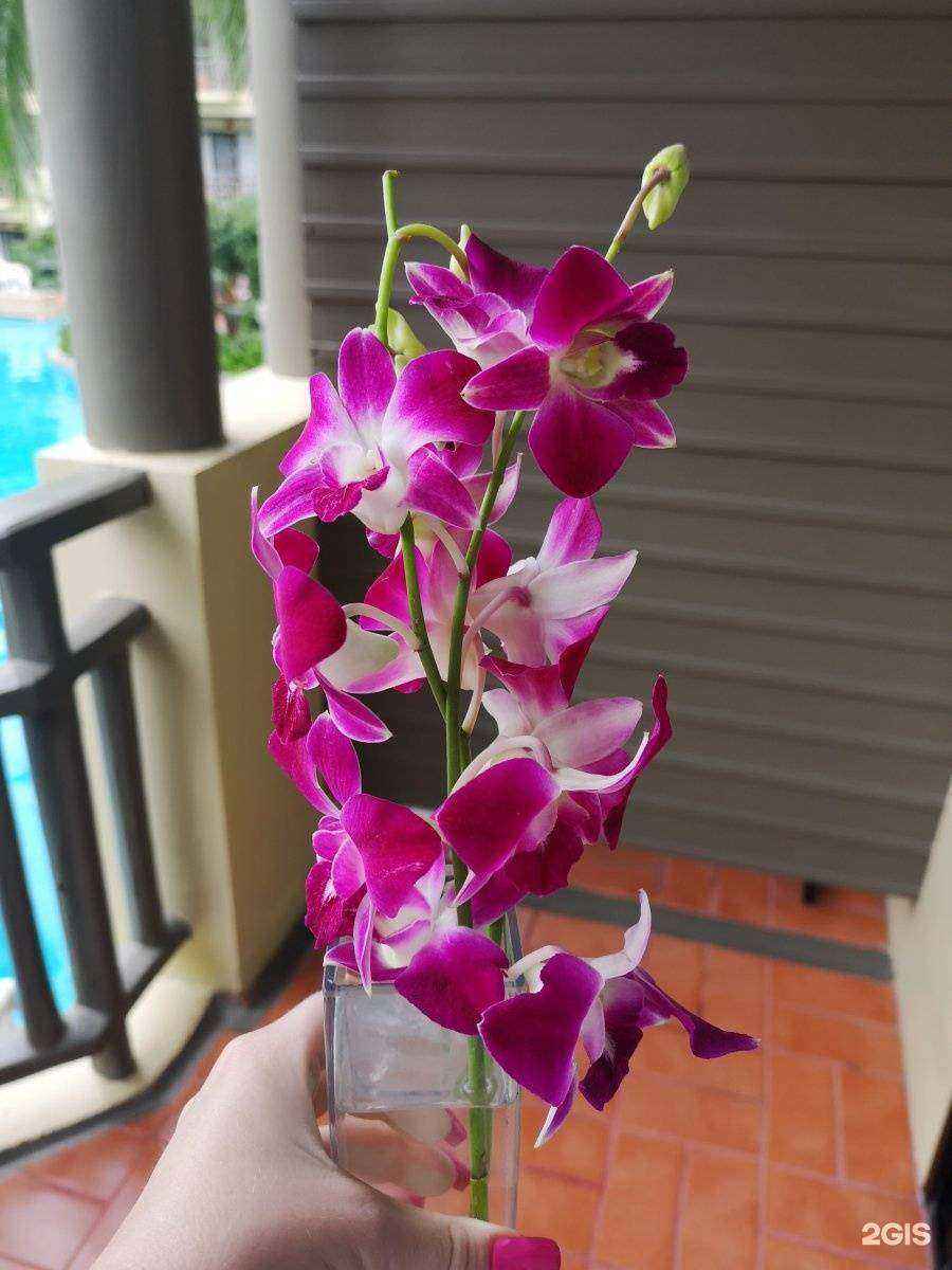 Отзывы на компанию Андаман тур в г. Томск c фото