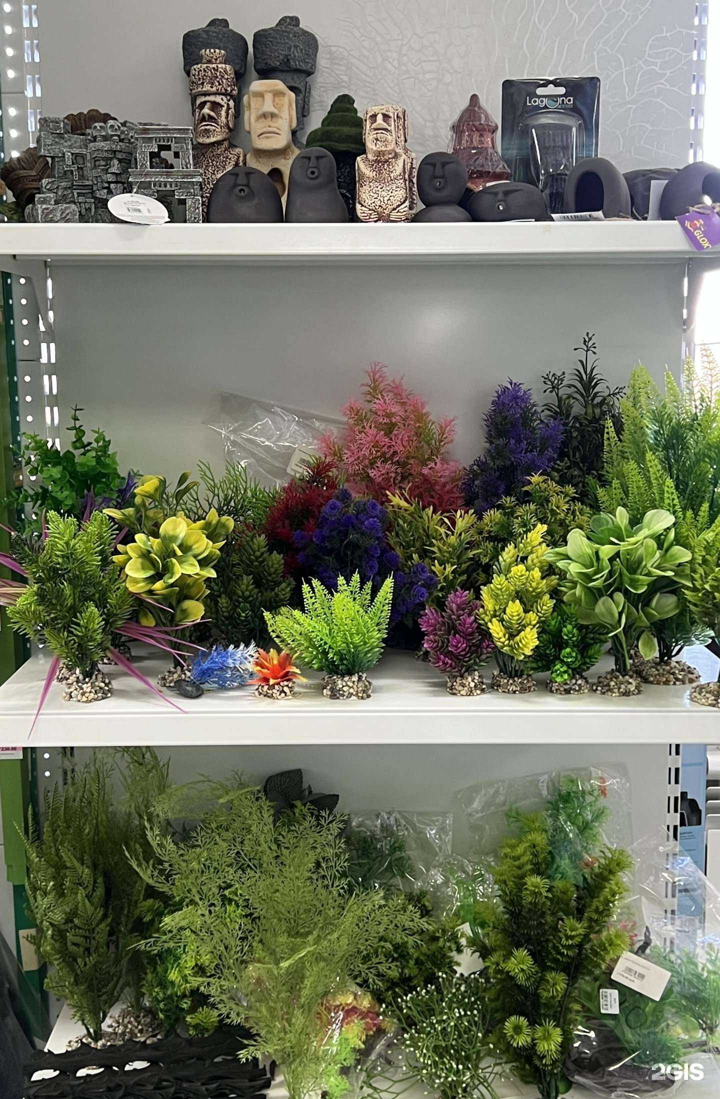 Отзывы на компанию Капитан Немо в Южно-Сахалинске c фото