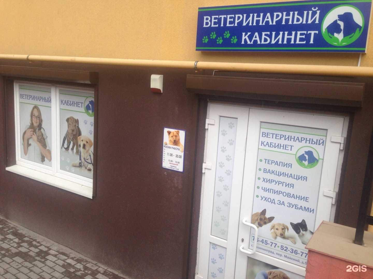 Отзывы на компанию Ветеринарный кабинет в Калининграде c фото