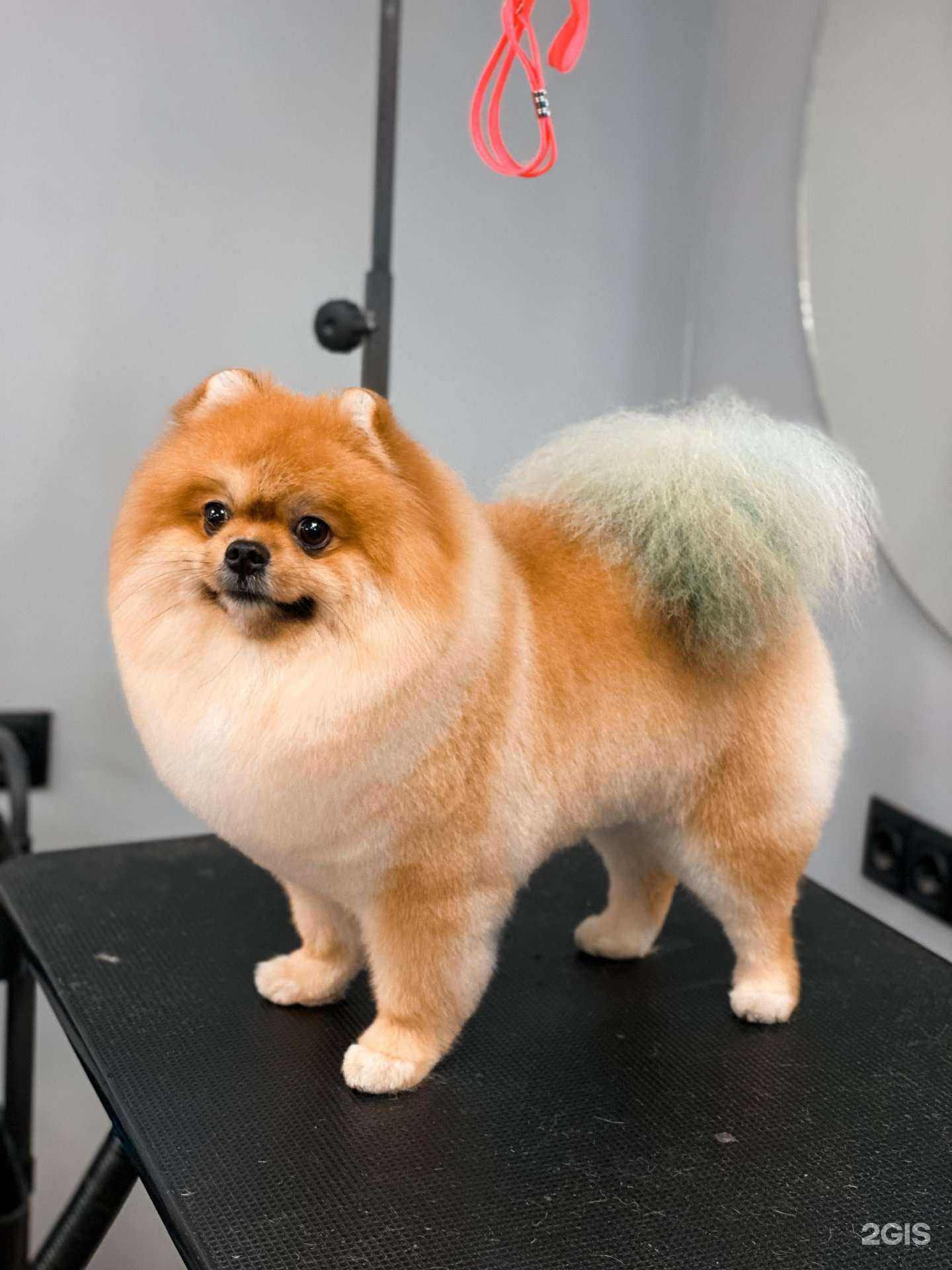 Отзывы на компанию БЛЭКГРУМЕР.РФ в Омске c фото