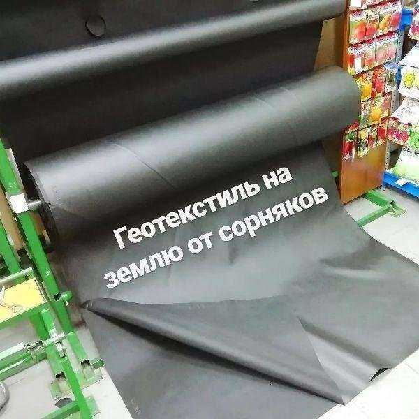 Отзывы на компанию Русский кедр в Хабаровске c фото