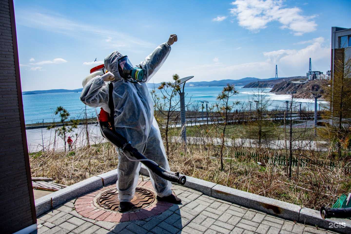 Отзывы на компанию Маликон в Владивостоке c фото