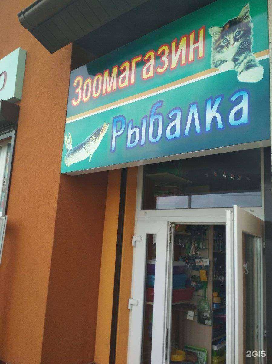 Отзывы на компанию Магазин зоотоваров и товаров для рыбалки в г. Гурьевск c фото