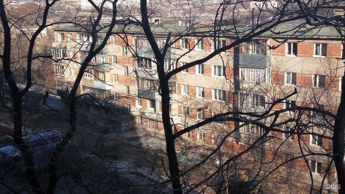 Отзывы на компанию Верный друг в Владивостоке c фото - фотография 2 из 2