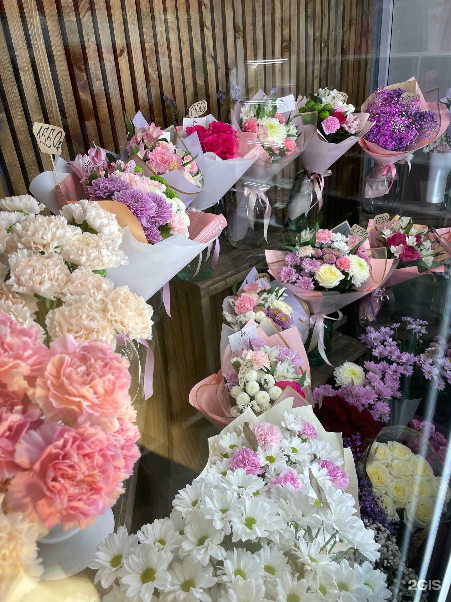 Отзывы на компанию Iris в Альметьевске c фото