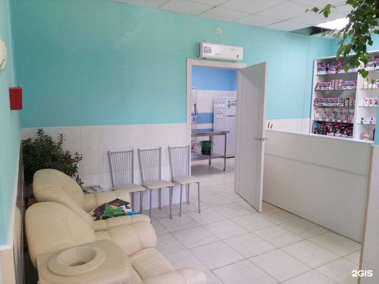 Отзывы на компанию ВетLife в Ярославле c фото