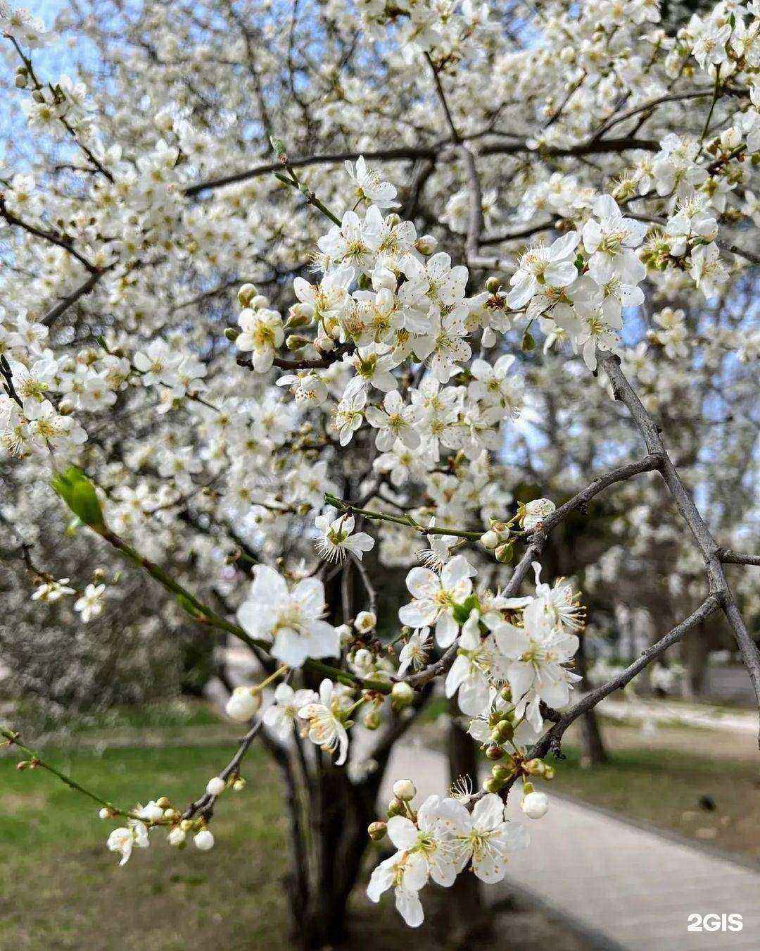 Отзывы на компанию Экологический центр в г. Тула c фото