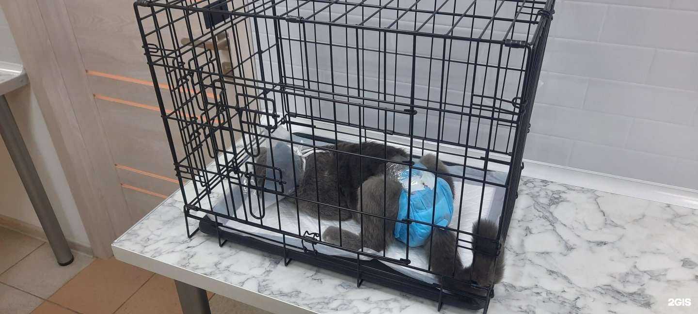 Отзывы на компанию На Московской в г. Краснодар c фото