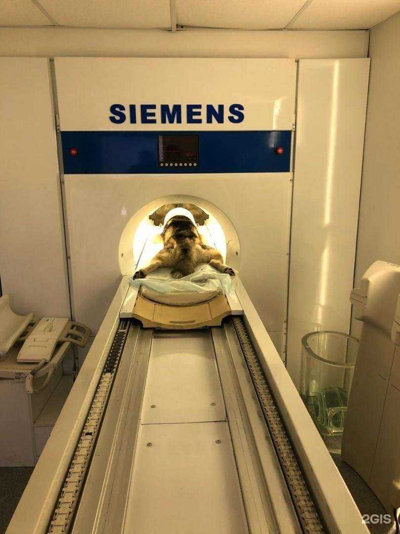 Отзывы на компанию Ветеринарная клиника в Краснодаре c фото