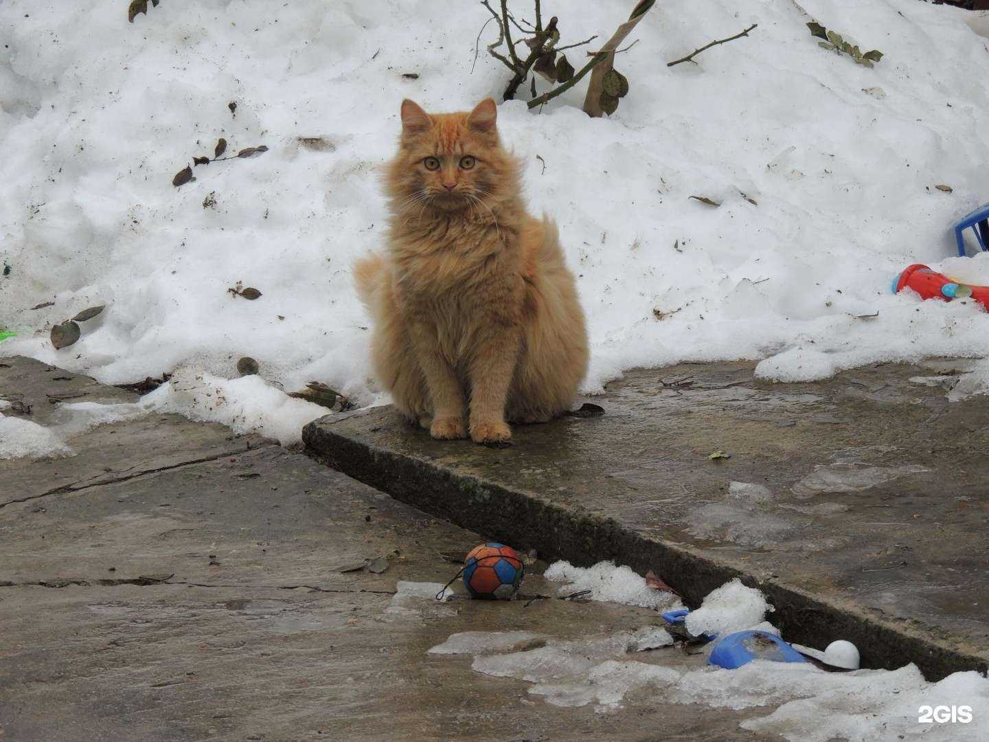 Отзывы на компанию ВетПрофи в г. Ейск c фото