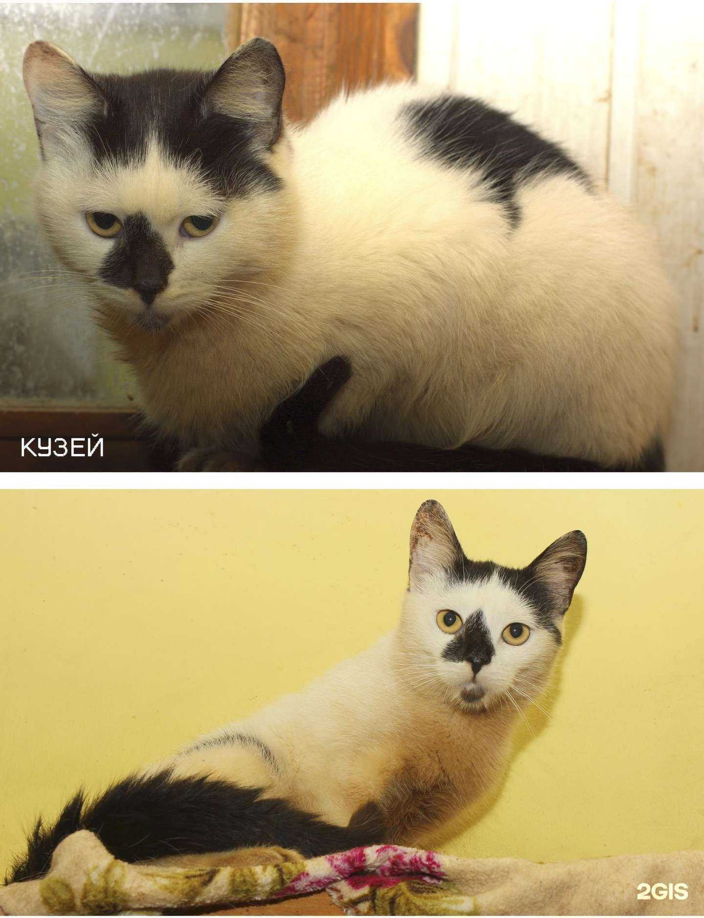 Отзывы на компанию Зоо 37 в Иванове c фото