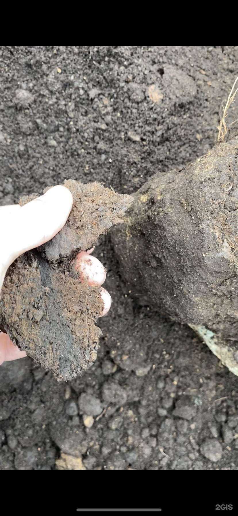 Отзывы на компанию Плодородная земля в Екатеринбурге c фото