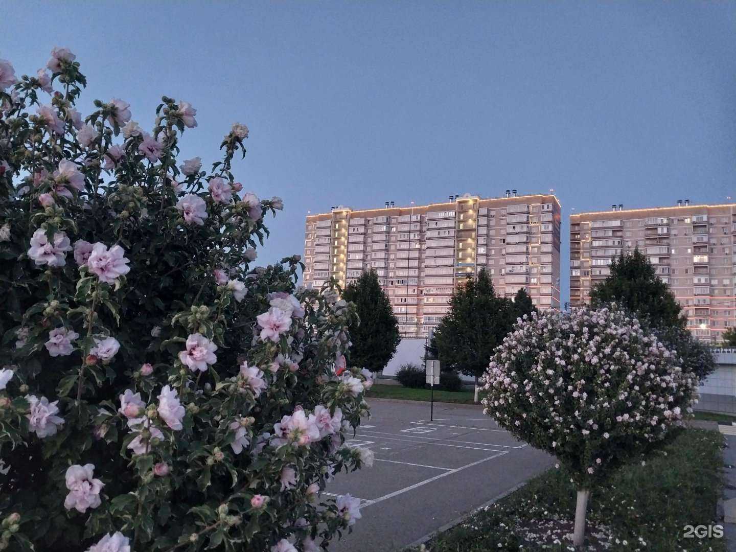 Отзывы на компанию West в г. Краснодар c фото