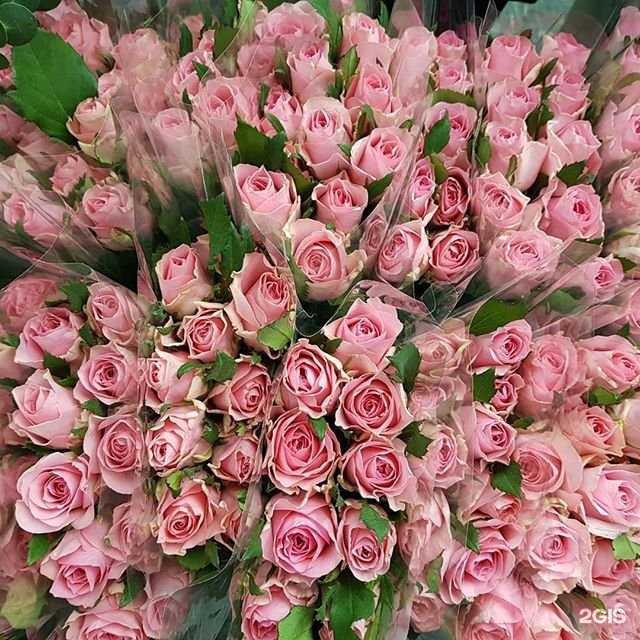 Отзывы на компанию ФлораОптТорг в г. Новокузнецк c фото