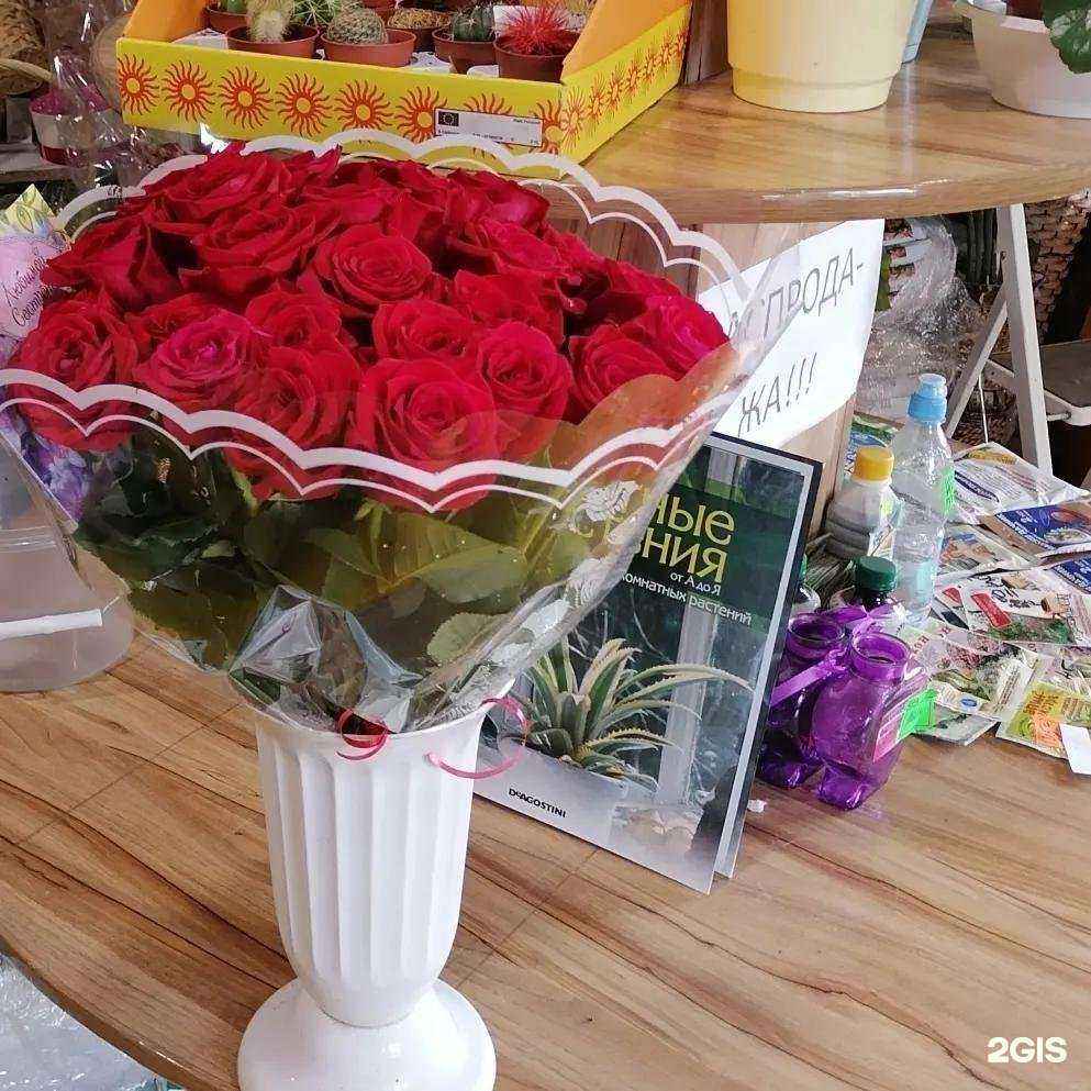 Отзывы на компанию Камелия в Ульяновске c фото