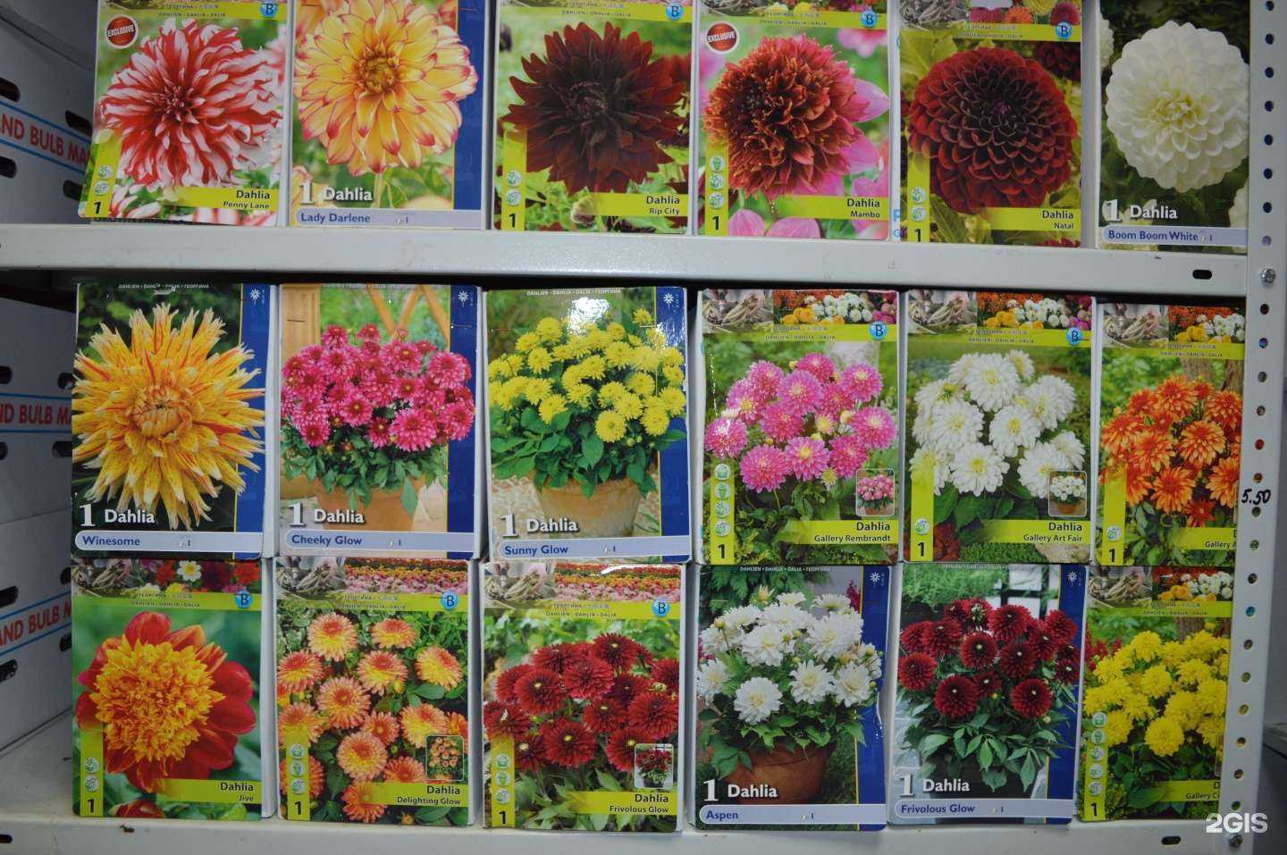 Отзывы на компанию РозМарин в Череповце c фото