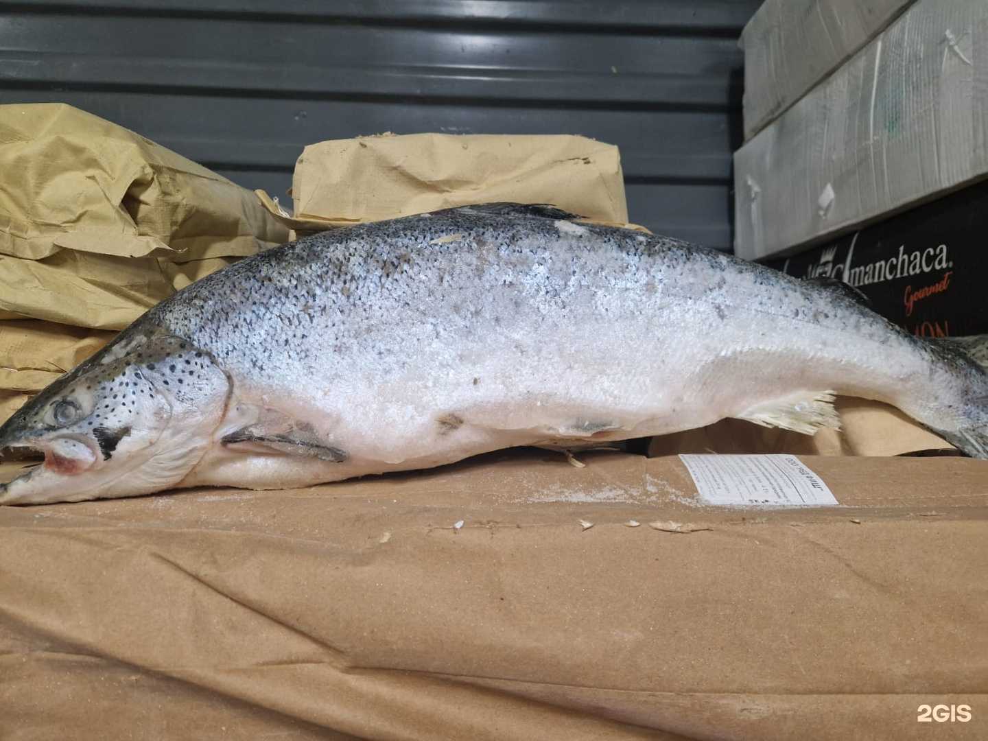 Отзывы на компанию Кватра в г. Томск c фото