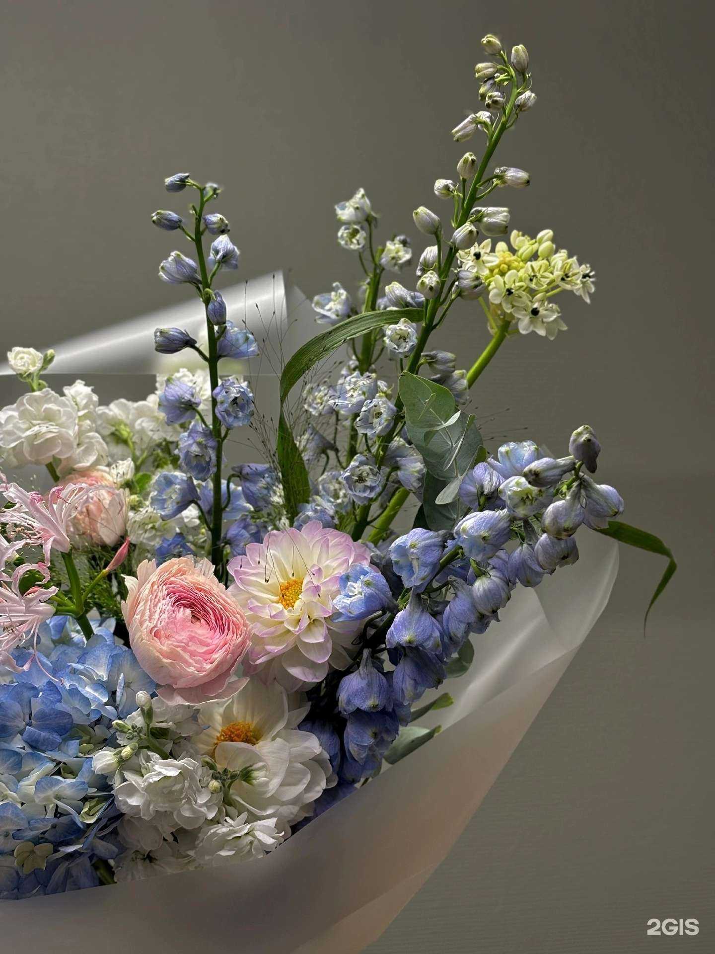 Отзывы на компанию Laurel branch в Орле c фото