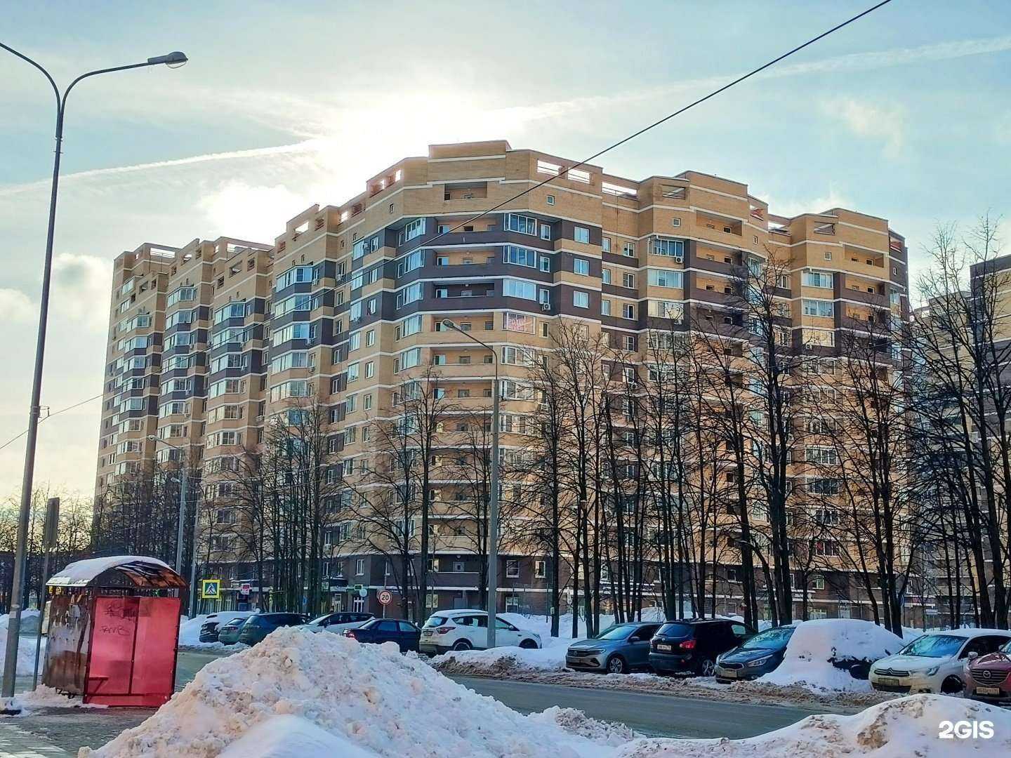 Отзывы на компанию Цветочный магазин в Пушкине c фото - фотография 2 из 2