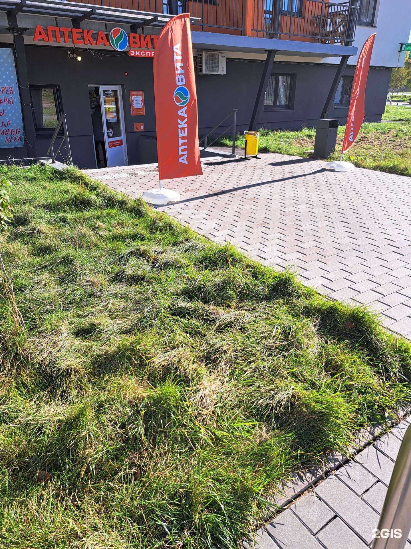 Отзывы на компанию Вита в г. Ярославль c фото