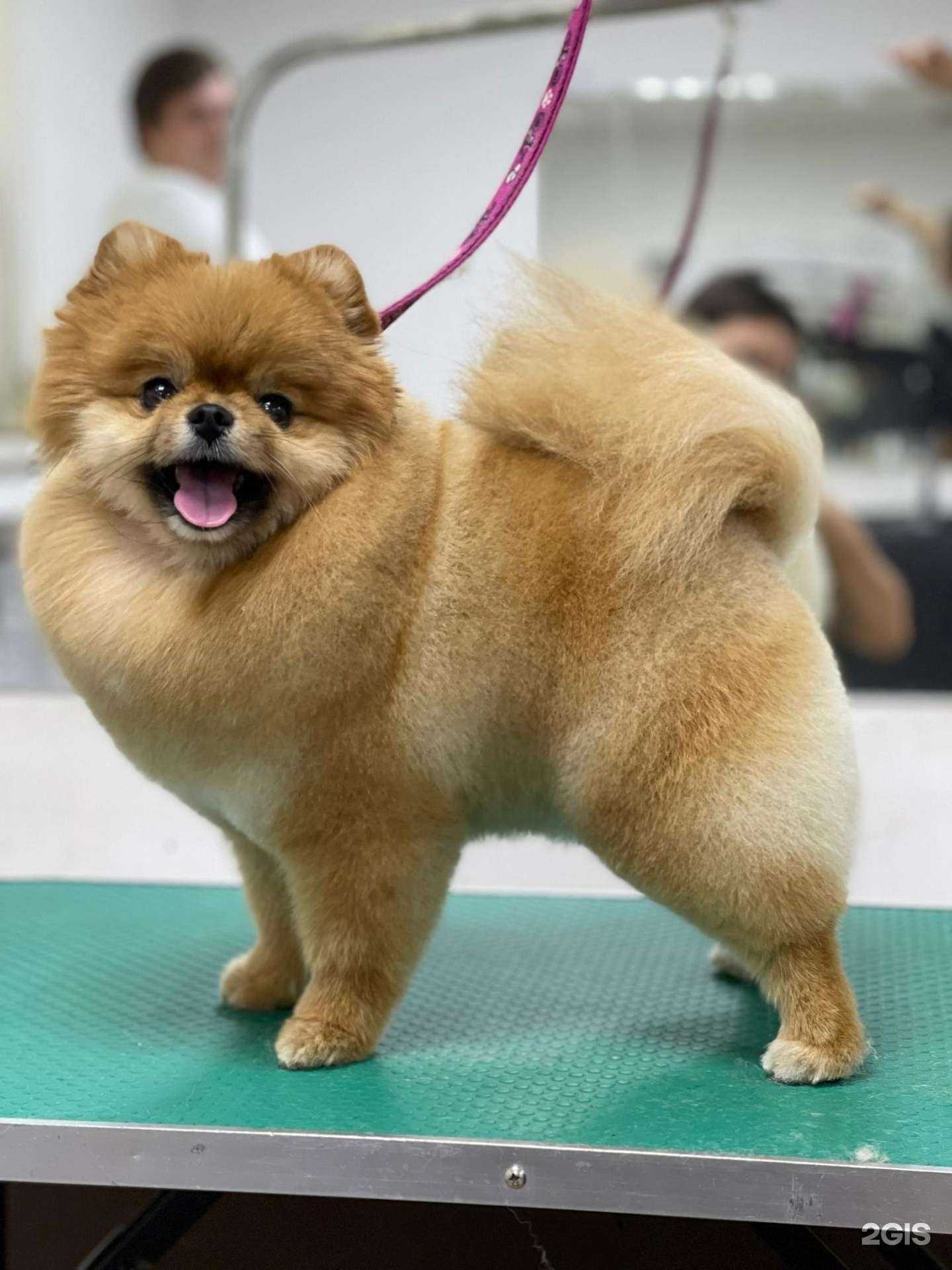 Отзывы на компанию Easy groom в Челябинске c фото