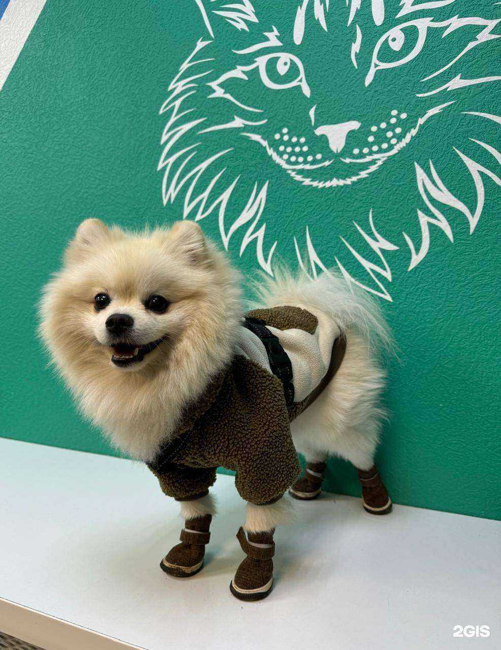 Отзывы на компанию Леопольд в Елабуге c фото