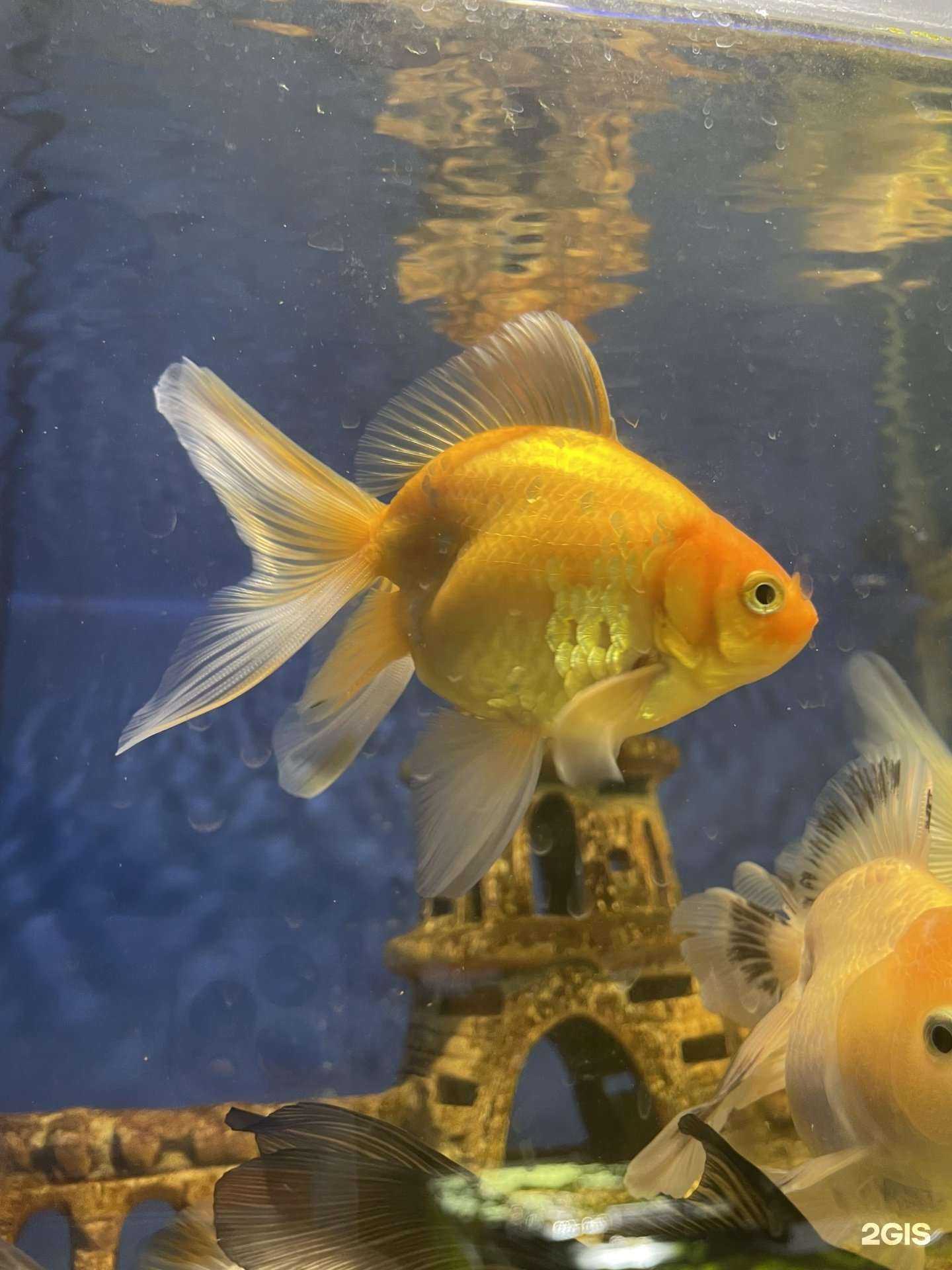 Отзывы на компанию Природа в Тюмени c фото