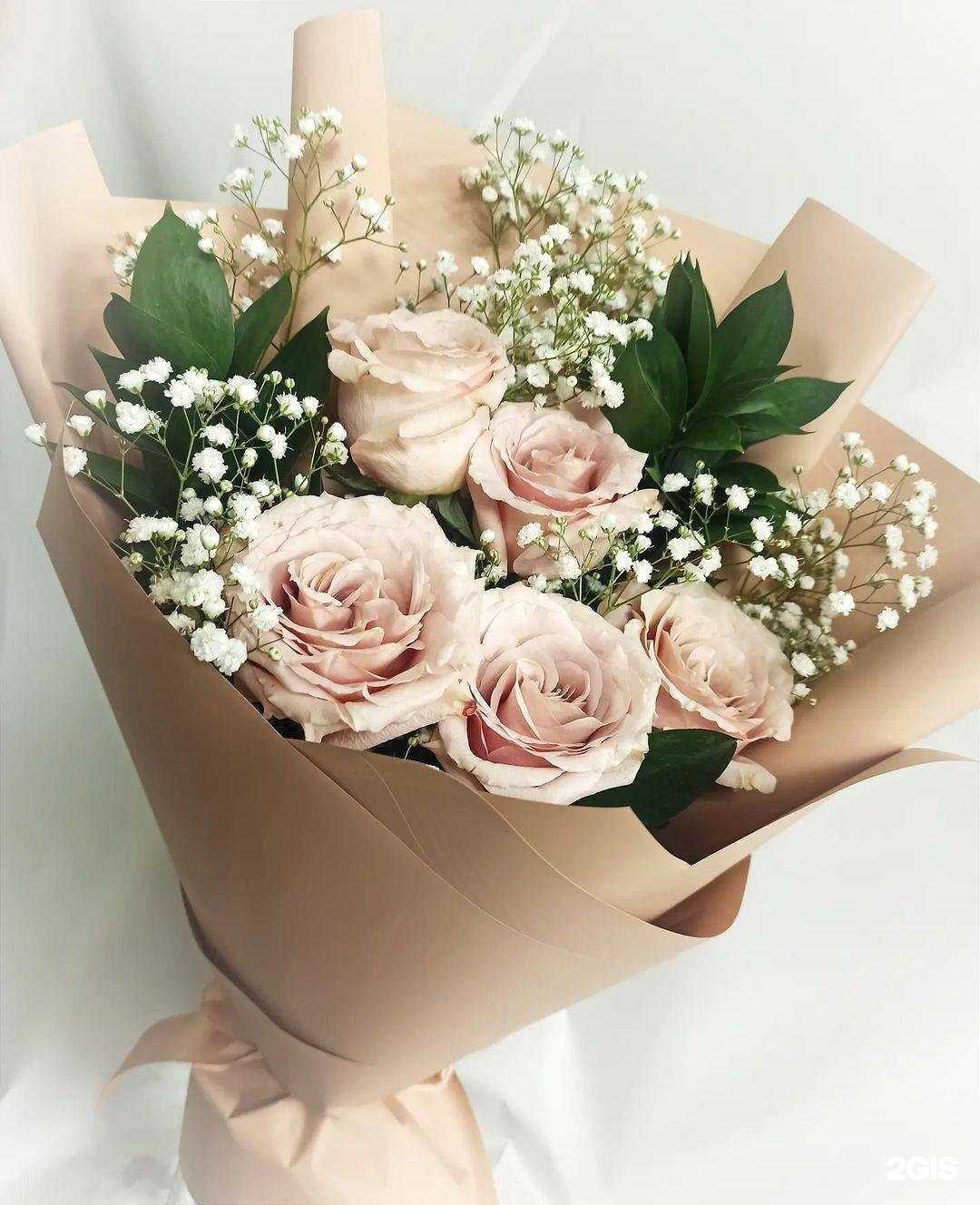 Отзывы на компанию Оранж в г. Сыктывкар c фото