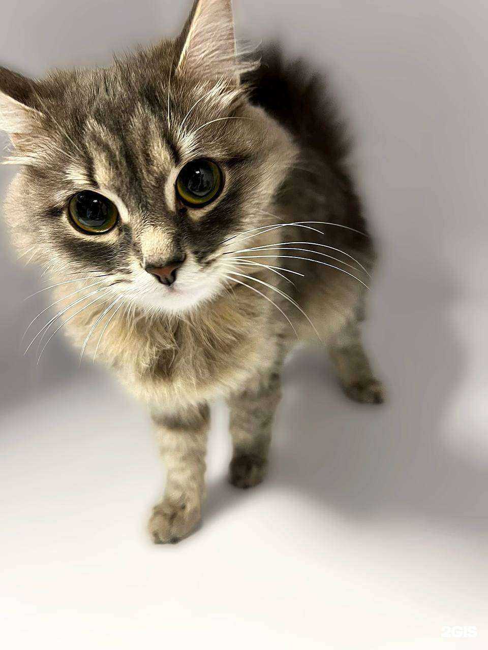 Отзывы на компанию Совсем как дома в Челябинске c фото