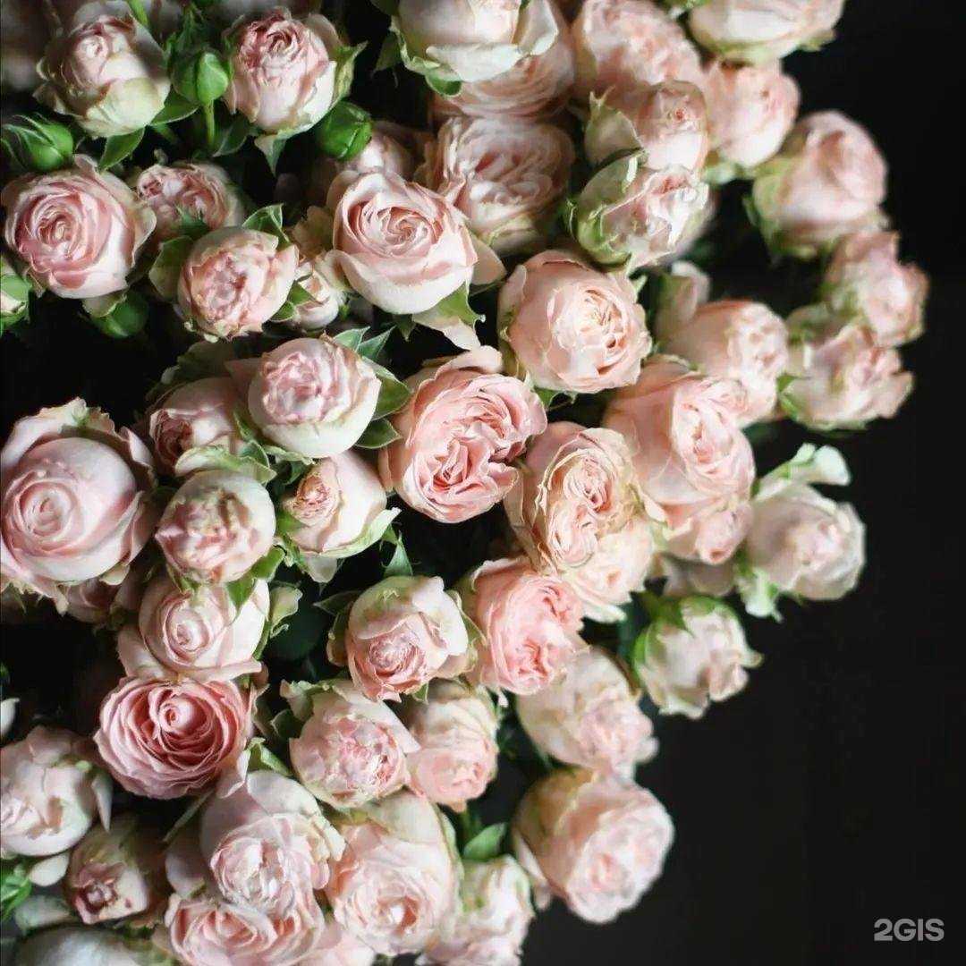 Отзывы на компанию Магазин цветов в Подольске c фото