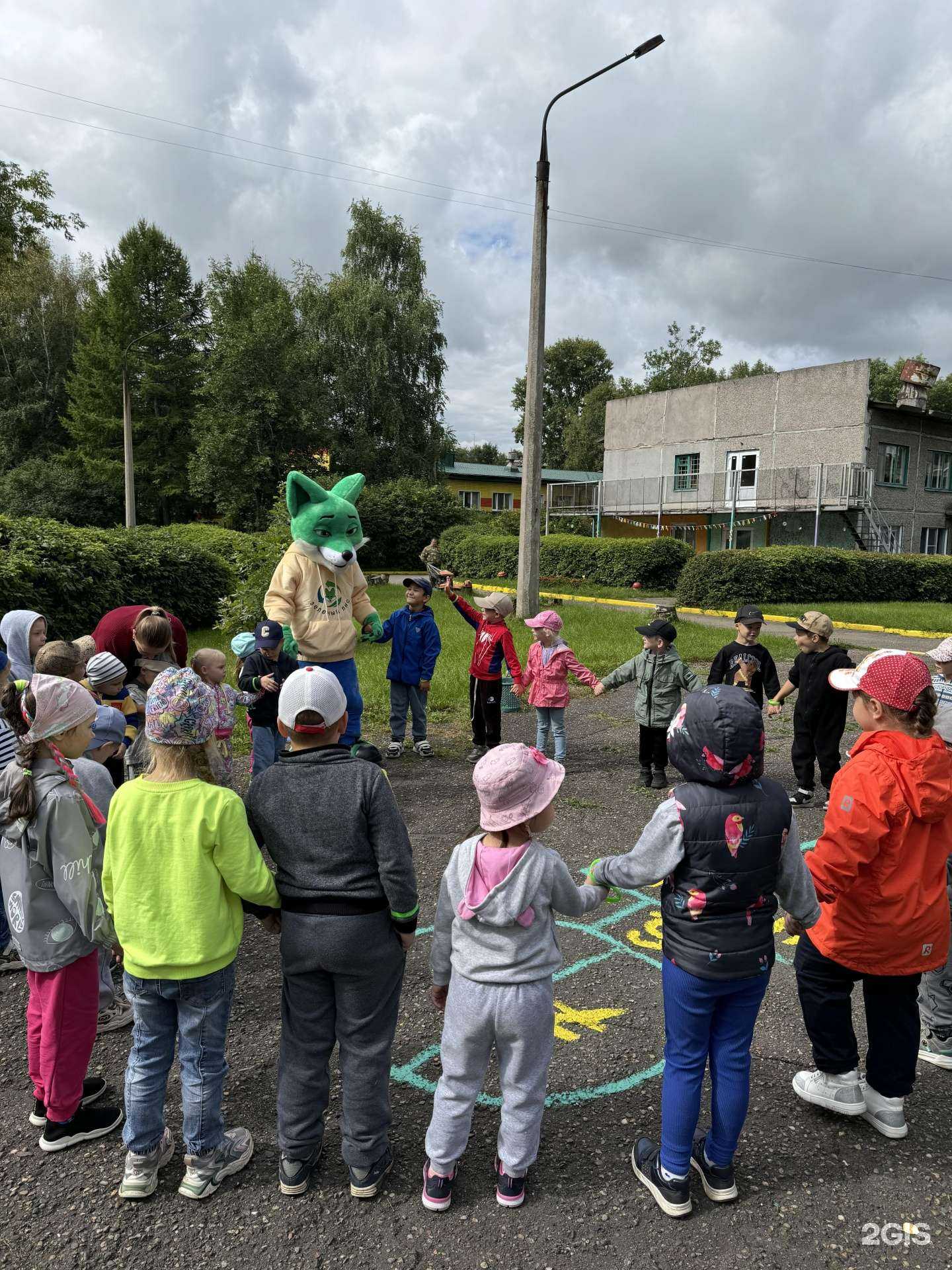 Отзывы на компанию Зеленый лис в г. Новокузнецк c фото