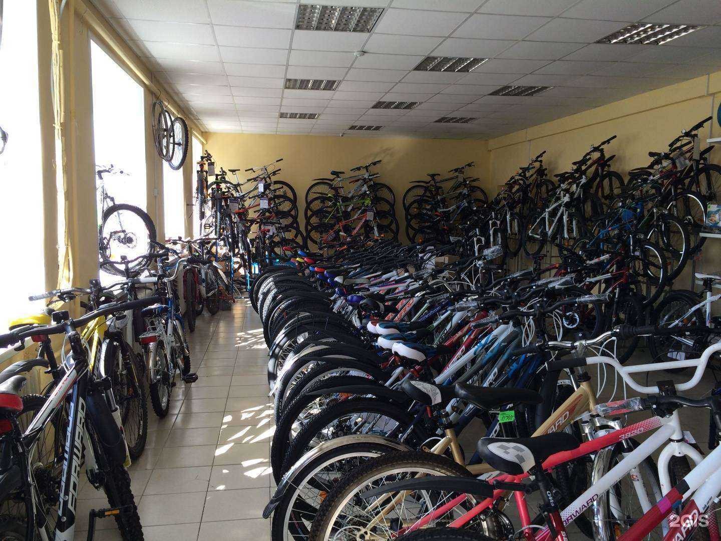 Отзывы на компанию Forward в г. Березники c фото