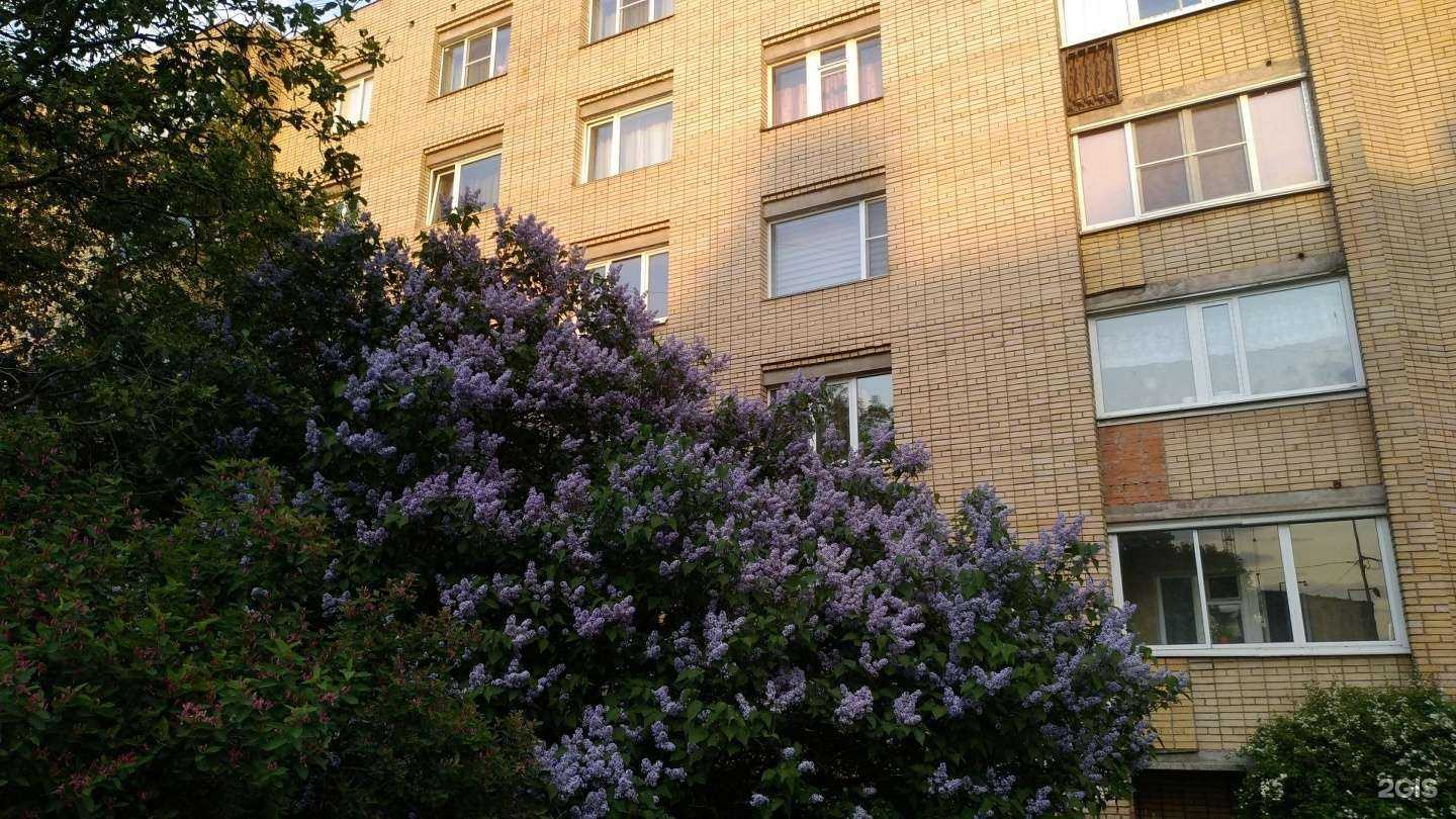 Отзывы на компанию ОнегоГрад в Петрозаводске c фото - фотография 2 из 2