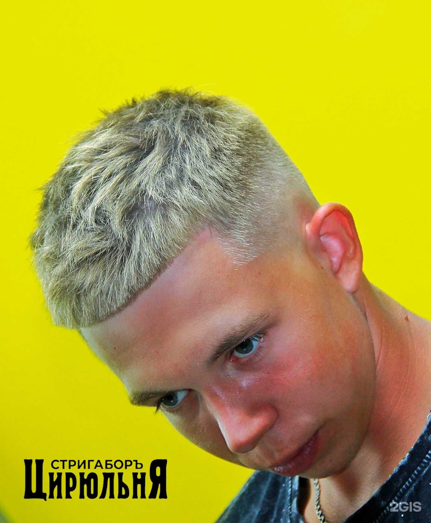 Отзывы на компанию Стригаборъ в г. Омск c фото