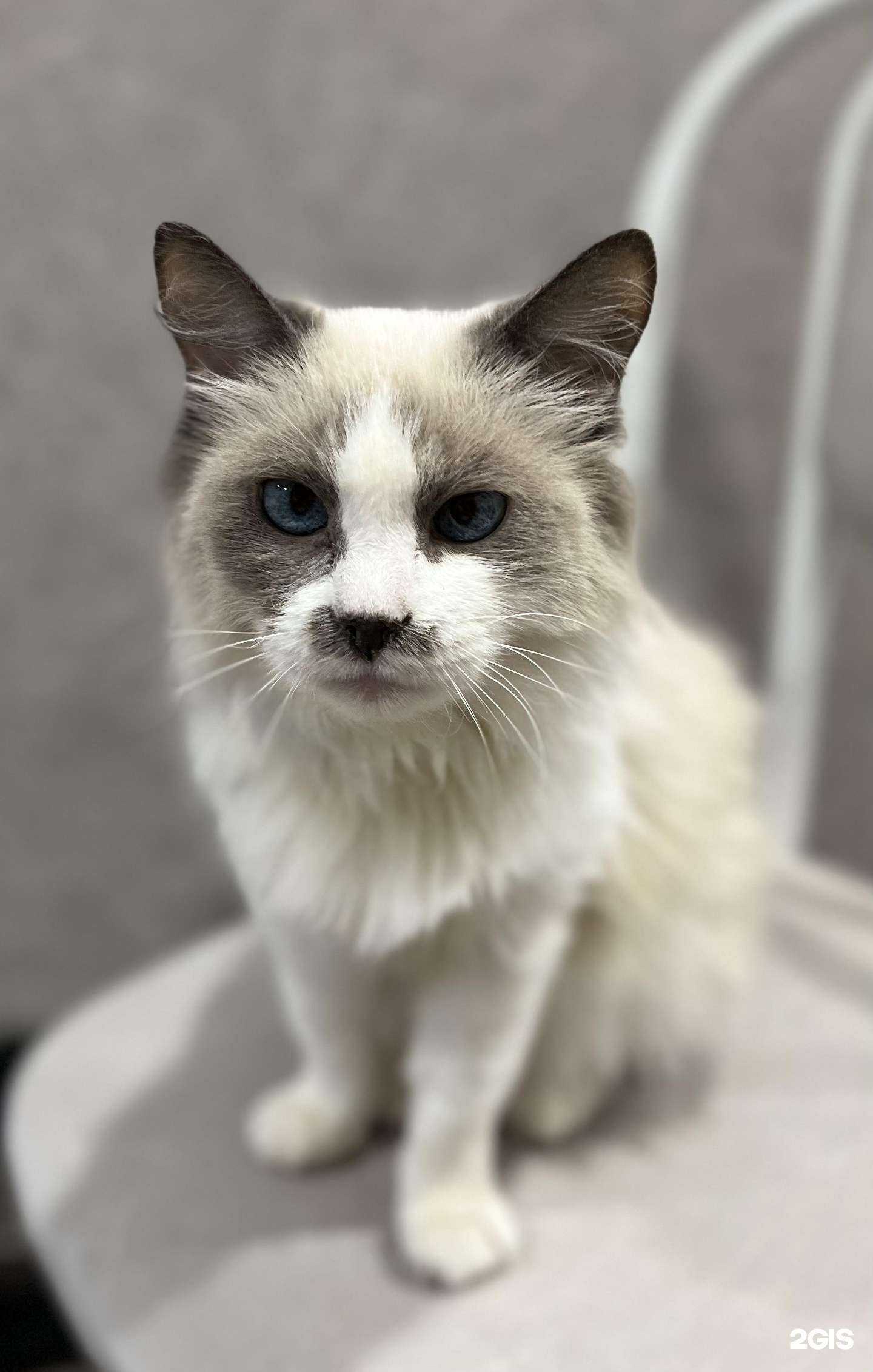 Отзывы на компанию Бонифаций в Красноярске c фото