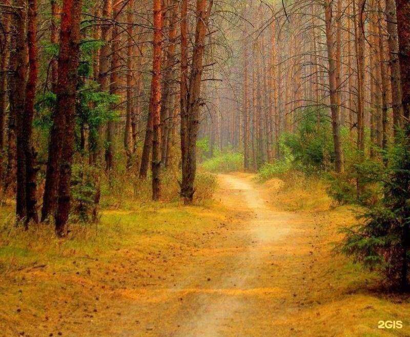 Отзывы на компанию Новый День, редакция СМИ в г. Великие Луки c фото