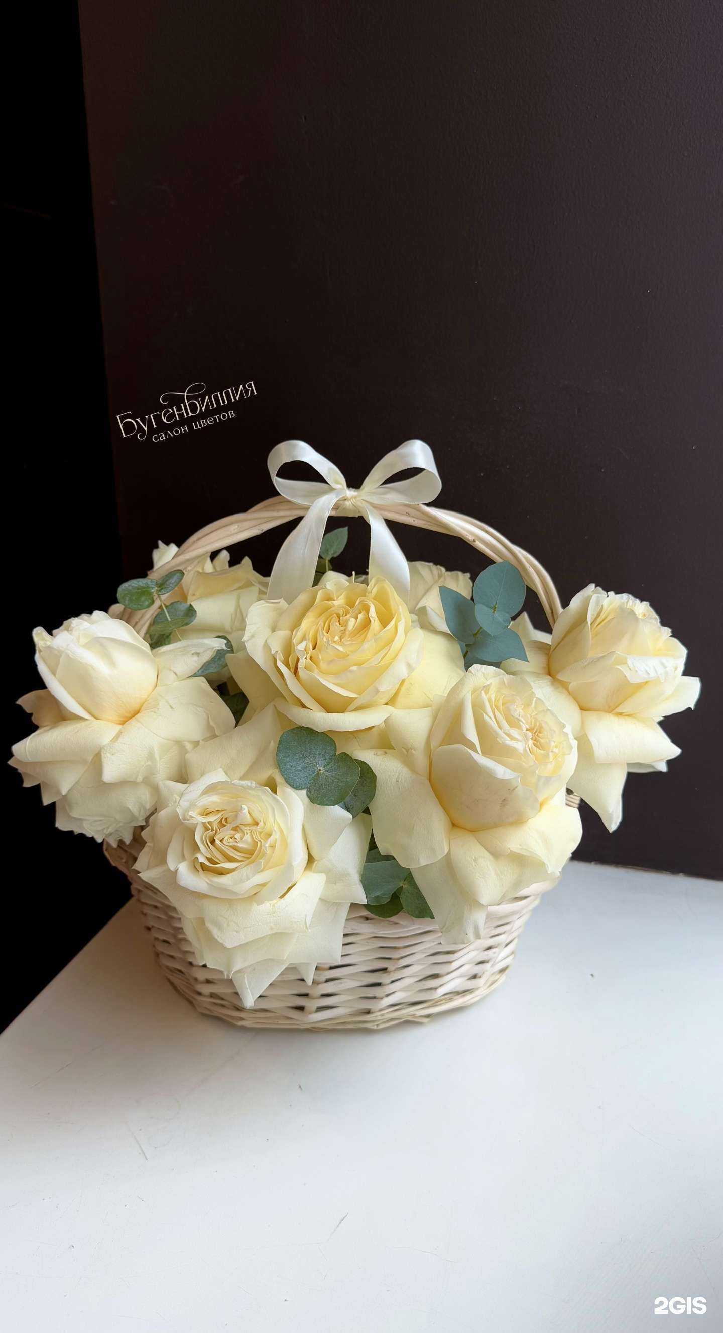 Отзывы на компанию Бугенвиллия в г. Тамбов c фото