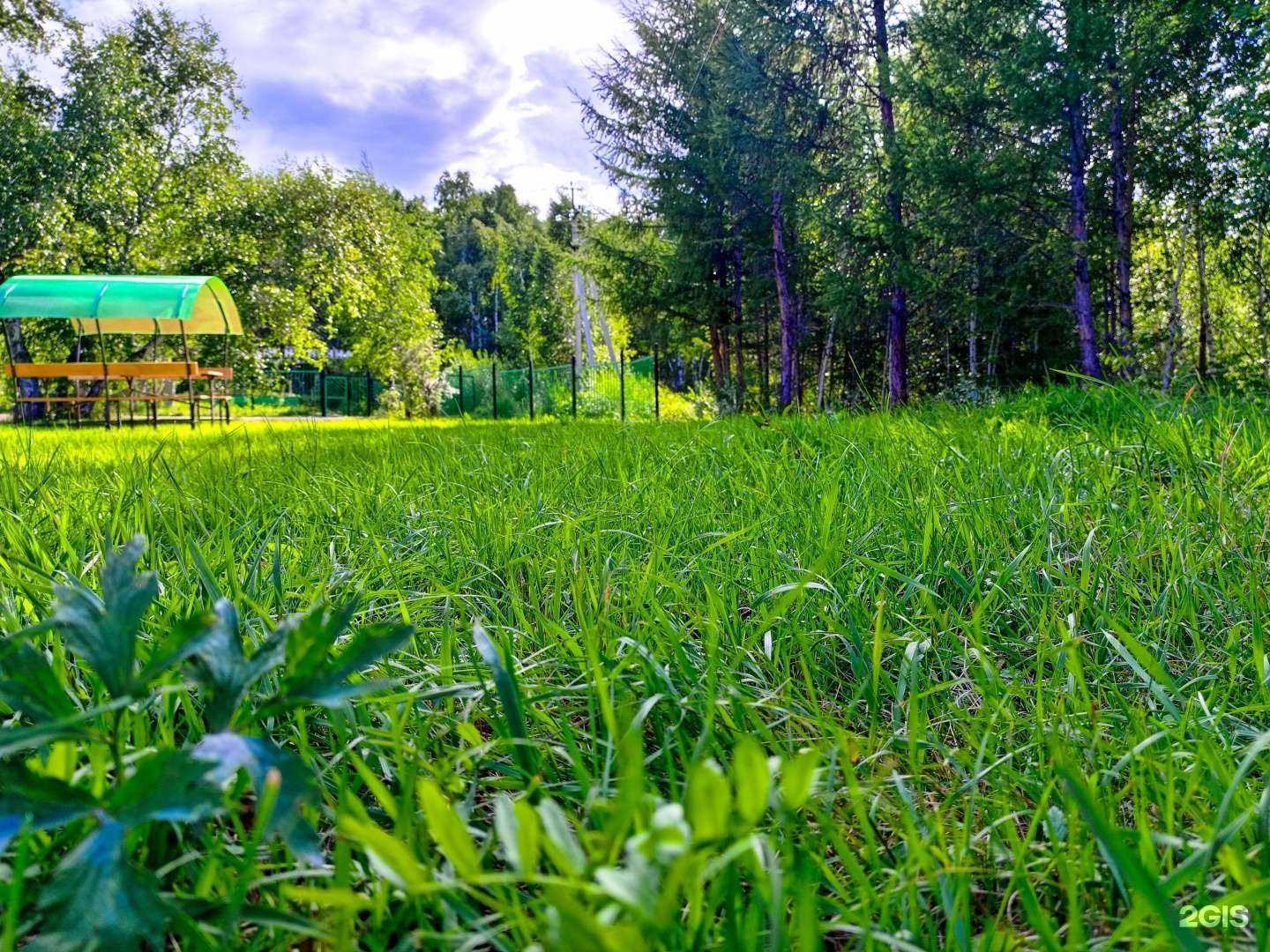 Отзывы на компанию Солнечный рай в Чите c фото