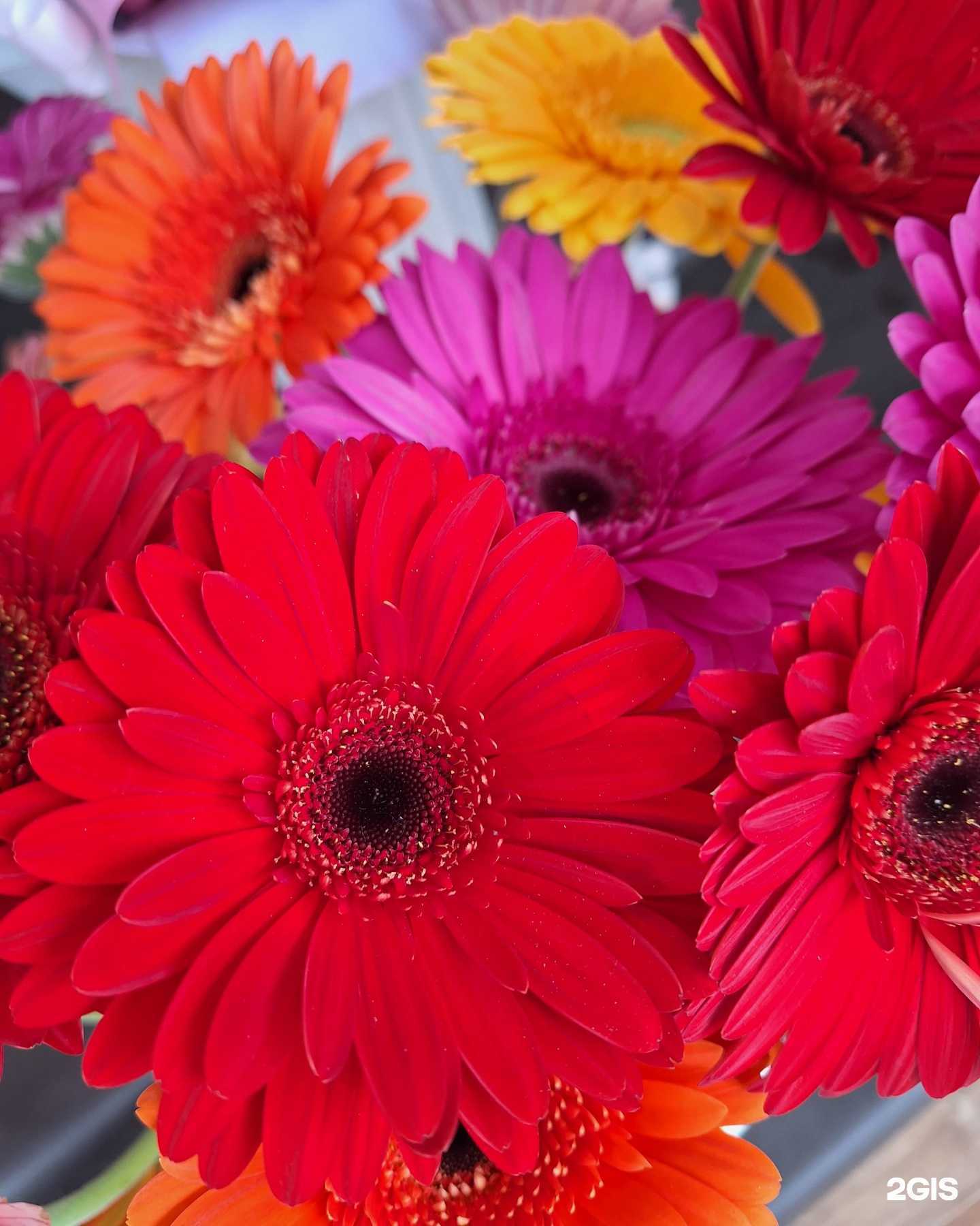 Отзывы на компанию У паровоза в Новокузнецке c фото