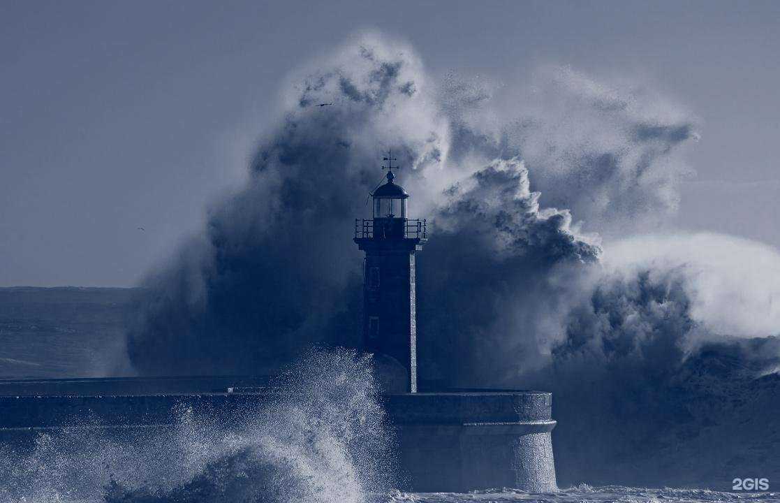 Отзывы на компанию DP Group в г. Владивосток c фото